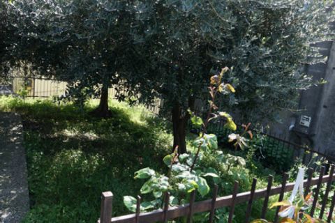 Villa a Soave, Verona, Soave - € 230.000 | Ref: 8342 - foto 8