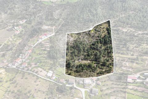Helårsgrund i Chaves, Vila Real, Chaves - € 60.000 | Ref: 126381014-42 - foto 2