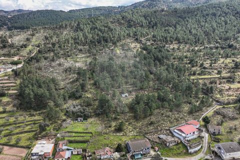 Helårsgrund i Chaves, Vila Real, Chaves - € 60.000 | Ref: 126381014-42 - foto 10