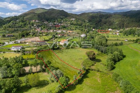 Helårsgrund i Vila Verde, Braga, Vila Verde - € 9.500 | Ref: 01-3615 - foto 7