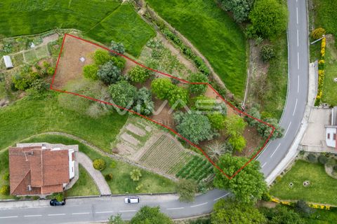 Helårsgrund i Vila Verde, Braga, Vila Verde - € 10.000 | Ref: 01-3616 - foto 5