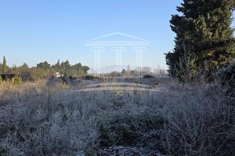 Terra a Jonquerettes, Vaucluse, Jonquerettes - € 218.000 | Ref: 8475 - foto 2
