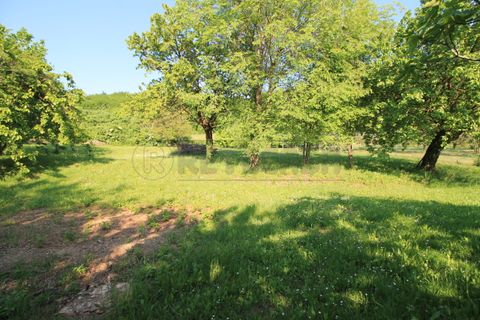 Byhus i Brendola, Vicenza, Brendola - € 270.000 | Ref: AG2513-IMMOBILI - foto 39