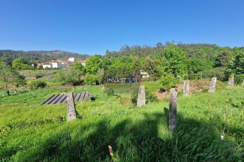 Villa i Viana do Castelo, Viana do Castelo, Viana do Castelo - € 390.000 | Ref: 814 - Quinta em Covas - foto 9