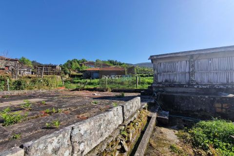 Villa i Viana do Castelo, Viana do Castelo, Viana do Castelo - € 390.000 | Ref: 814 - Quinta em Covas - foto 10
