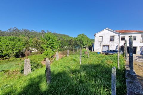 Villa i Viana do Castelo, Viana do Castelo, Viana do Castelo - € 390.000 | Ref: 814 - Quinta em Covas - foto 11