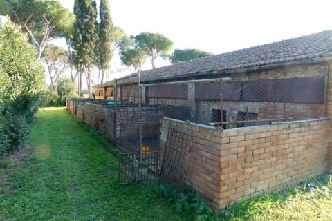 Farm hus i Grosseto, Grosseto, Grosseto - € 1.200.000 | Ref: a7631ta1729275a - foto 10