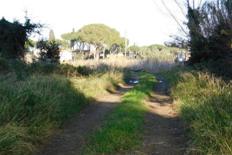 Farm hus i Grosseto, Grosseto, Grosseto - € 1.200.000 | Ref: a7631ta1729275a - foto 16