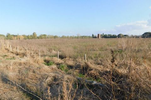 Farm hus i Grosseto, Grosseto, Grosseto - € 1.200.000 | Ref: a7631ta1729275a - foto 17
