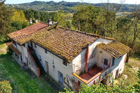 Farm hus i Palaia, Pisa, Palaia - € 537.000 | Ref: a3165ta2291424a - foto 3