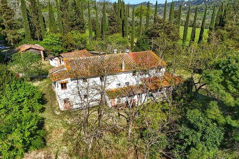 Farm hus i Palaia, Pisa, Palaia - € 537.000 | Ref: a3165ta2291424a - foto 4