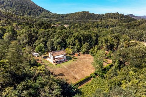 Villa i Lucca, Lucca, Lucca - € 770.000 | Ref: CBI129-1788-130314 - foto 26