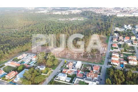 Helårsgrund i Ovar, Aveiro, Ovar - € 850.000 | Ref: PU-1000003 - foto 2