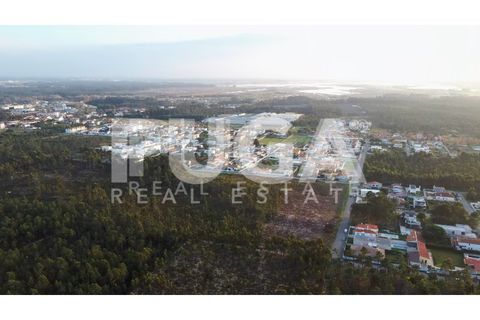 Helårsgrund i Ovar, Aveiro, Ovar - € 850.000 | Ref: PU-1000003 - foto 3