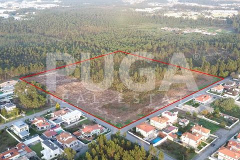 Helårsgrund i Ovar, Aveiro, Ovar - € 850.000 | Ref: PU-1000003 - foto 1