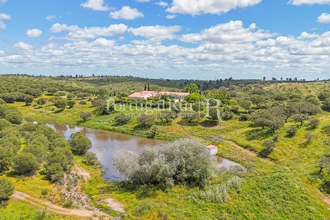 Herregård i Moura, Beja, Moura - € 3 490 000 | Ref: FG393 - foto 6