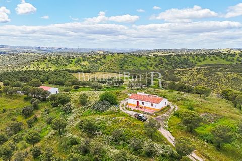 Herregård i Moura, Beja, Moura - € 3 490 000 | Ref: FG393 - foto 7