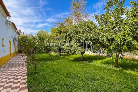Herregård i Moura, Beja, Moura - € 3 490 000 | Ref: FG393 - foto 36