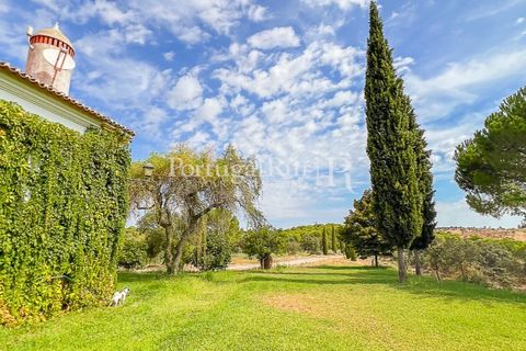 Herregård i Moura, Beja, Moura - € 3 490 000 | Ref: FG393 - foto 38