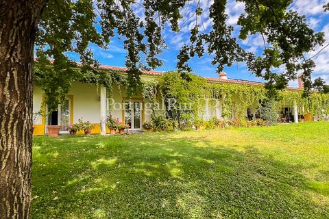 Herregård i Moura, Beja, Moura - € 3 490 000 | Ref: FG393 - foto 40