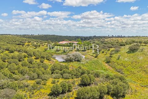 Herregård i Moura, Beja, Moura - € 3 490 000 | Ref: FG393 - foto 43