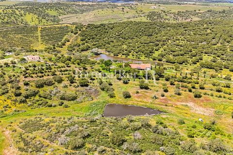 Herregård i Moura, Beja, Moura - € 3 490 000 | Ref: FG393 - foto 44