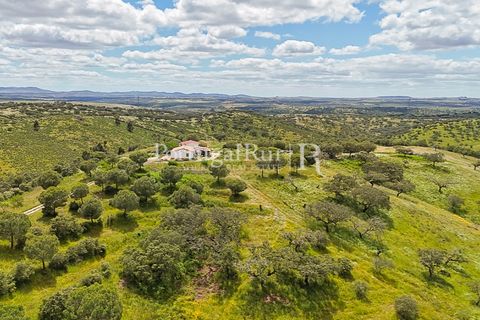 Herregård i Moura, Beja, Moura - € 3 490 000 | Ref: FG393 - foto 45