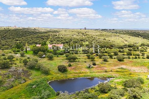 Herregård i Moura, Beja, Moura - € 3 490 000 | Ref: FG393 - foto 47