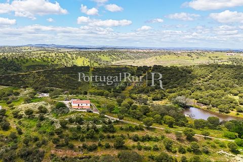 Herregård i Moura, Beja, Moura - € 3 490 000 | Ref: FG393 - foto 48
