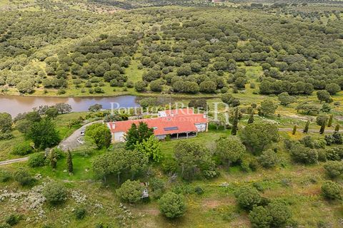Herregård i Moura, Beja, Moura - € 3 490 000 | Ref: FG393 - foto 49