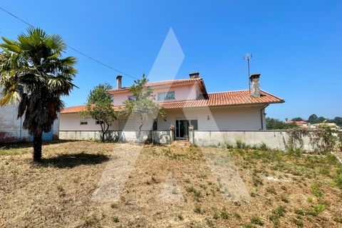 Villa i Agueda, Aveiro, Agueda - € 550.000 | Ref: 1040663/25 BR - foto 7