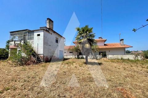 Villa i Agueda, Aveiro, Agueda - € 550.000 | Ref: 1040663/25 BR - foto 24