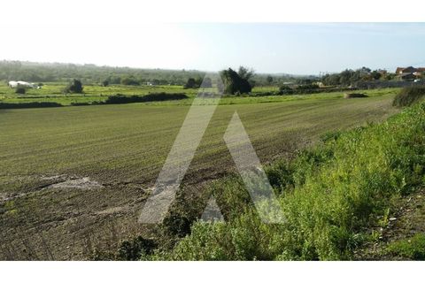 Helårsgrund i Estarreja, Aveiro, Estarreja - € 250.000 | Ref: 1040661/25 BR - foto 2