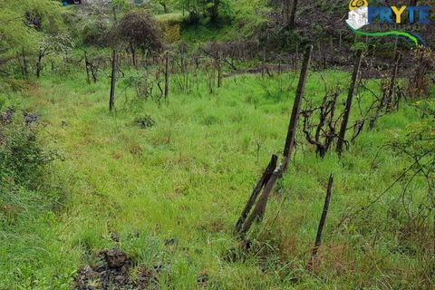 Villa i Gois, Coimbra, Gois - € 100.000 | Ref: AA319 - foto 12
