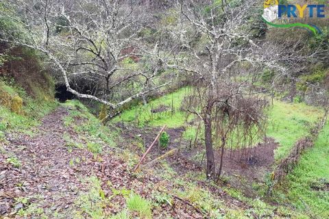 Villa i Gois, Coimbra, Gois - € 100.000 | Ref: AA319 - foto 13