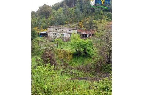Villa i Gois, Coimbra, Gois - € 100.000 | Ref: AA319 - foto 14