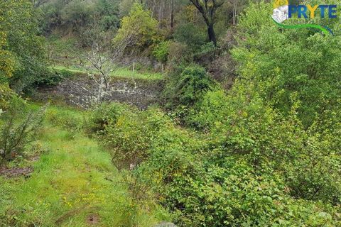 Villa i Gois, Coimbra, Gois - € 100.000 | Ref: AA319 - foto 15