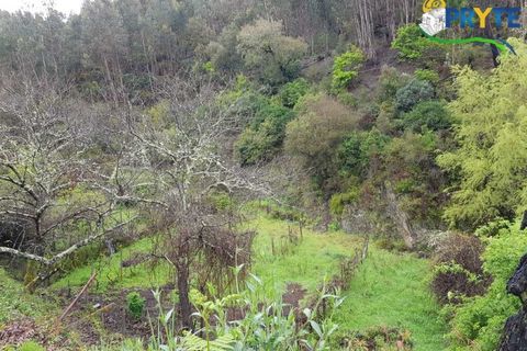 Villa i Gois, Coimbra, Gois - € 100.000 | Ref: AA319 - foto 16