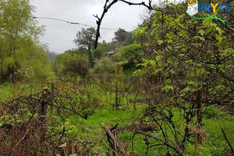 Villa i Gois, Coimbra, Gois - € 100.000 | Ref: AA319 - foto 17
