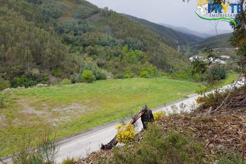 Villa i Gois, Coimbra, Gois - € 100.000 | Ref: AA319 - foto 20