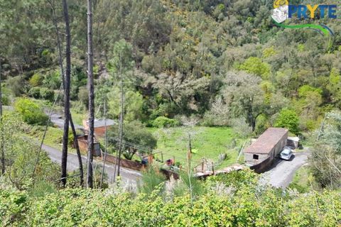 Villa i Gois, Coimbra, Gois - € 100.000 | Ref: AA319 - foto 21
