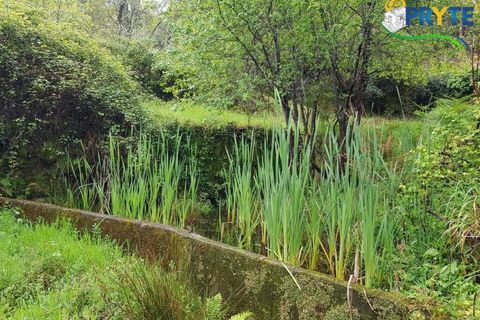 Villa i Gois, Coimbra, Gois - € 100.000 | Ref: AA319 - foto 22