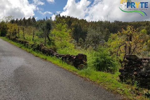 Villa i Gois, Coimbra, Gois - € 100.000 | Ref: AA319 - foto 27