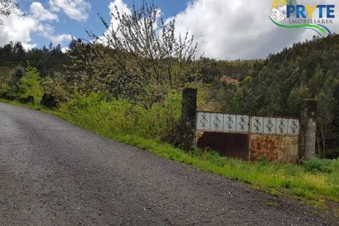 Villa i Gois, Coimbra, Gois - € 100.000 | Ref: AA319 - foto 34