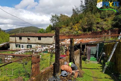 Villa i Gois, Coimbra, Gois - € 100.000 | Ref: AA319 - foto 36