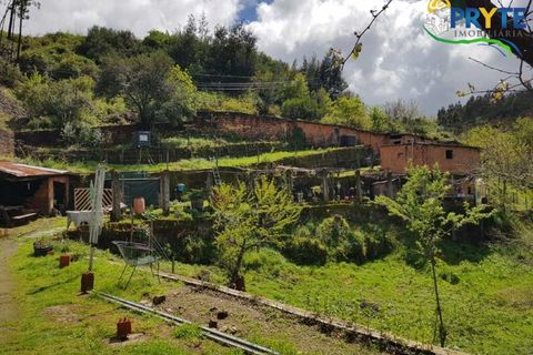Villa i Gois, Coimbra, Gois - € 100.000 | Ref: AA319 - foto 38