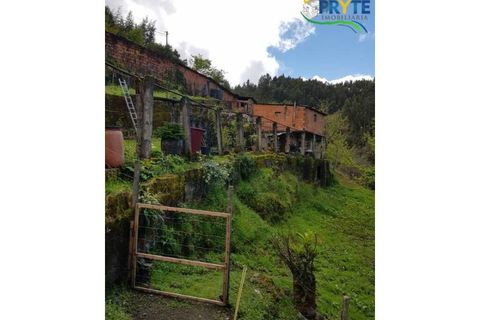 Villa i Gois, Coimbra, Gois - € 100.000 | Ref: AA319 - foto 40
