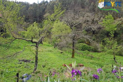 Villa i Gois, Coimbra, Gois - € 100.000 | Ref: AA319 - foto 41