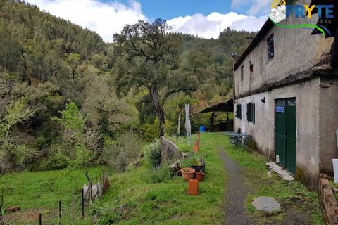 Villa i Gois, Coimbra, Gois - € 100.000 | Ref: AA319 - foto 42