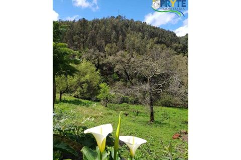 Villa i Gois, Coimbra, Gois - € 100.000 | Ref: AA319 - foto 43